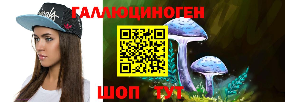 Котовск  Галлюциногенные грибы ЛСД  Вход с VPN 